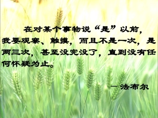 7蟋蟀的住宅 (5)