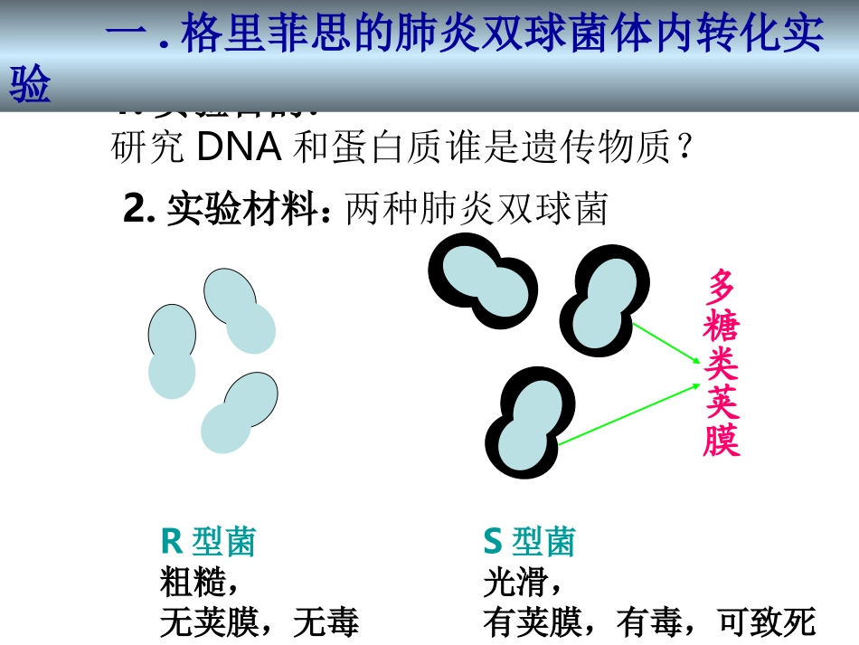31DNA是主要的遗传物质_第2页