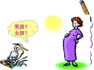 人的性别决定