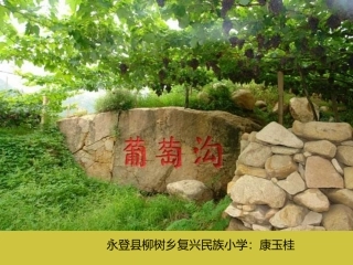 葡萄沟 (2)