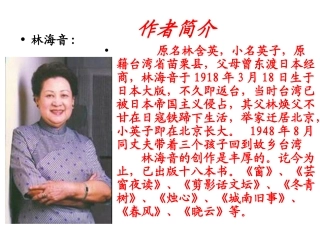 冬日童年骆驼队