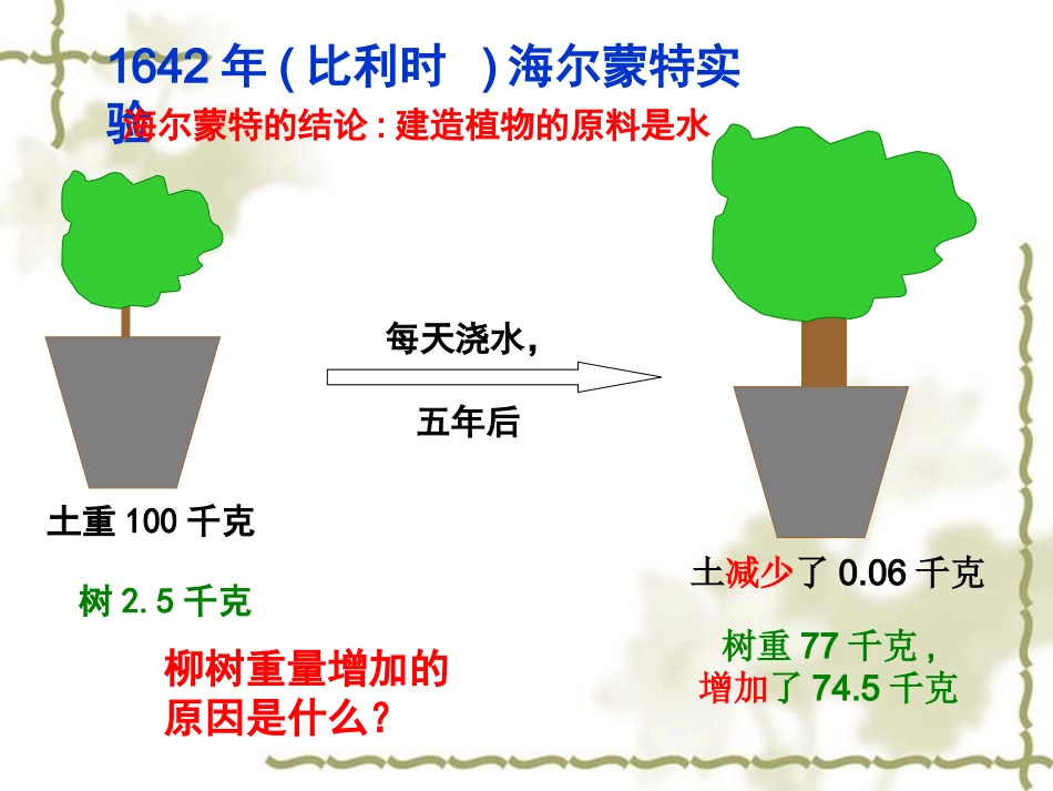 植物光合作用_第2页