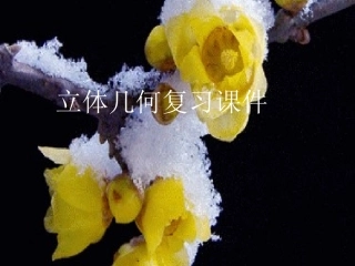 立体几何复习 (2)