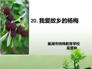 我爱故乡的杨梅