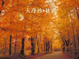 《秋思》课件1