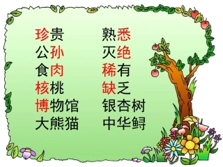 33《活化石》 (2)