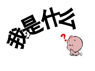 我是什么 (6)