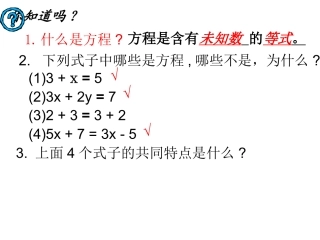 312等式的性质 (2)