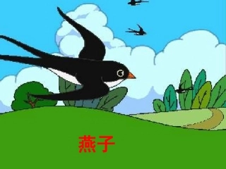 1、《燕子》（图片）
