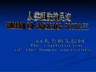 人类祖先的足迹