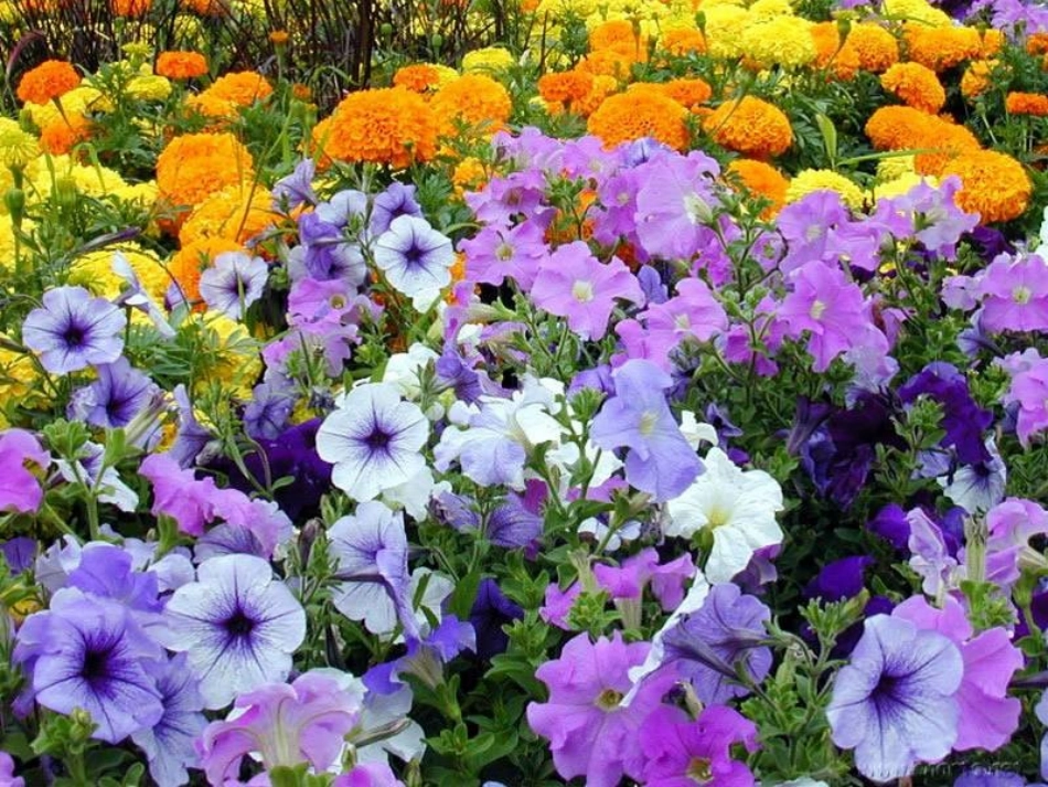 触摸春天zx_第1页