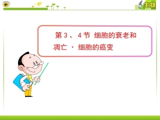 第3、4节细胞的衰老和凋亡·细胞的癌变