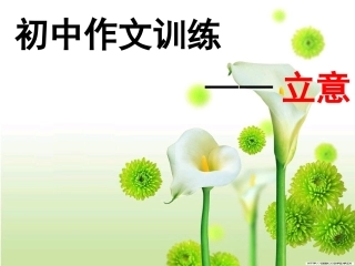作文训练立意