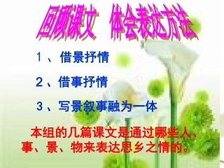 第二单元作文课件二十年后回故乡