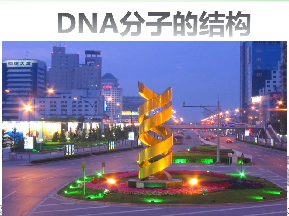 DNA分子结构_第1页