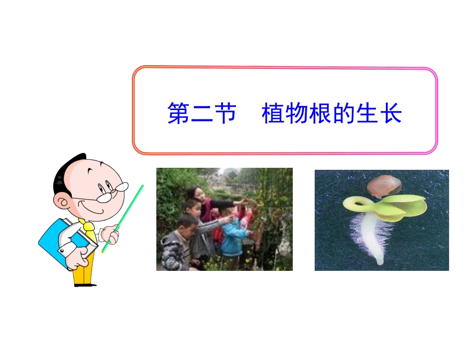 第二节植物根的生长_第1页