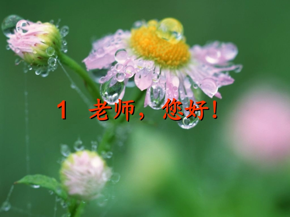 老师，您好！2_第1页