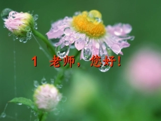 老师，您好！2