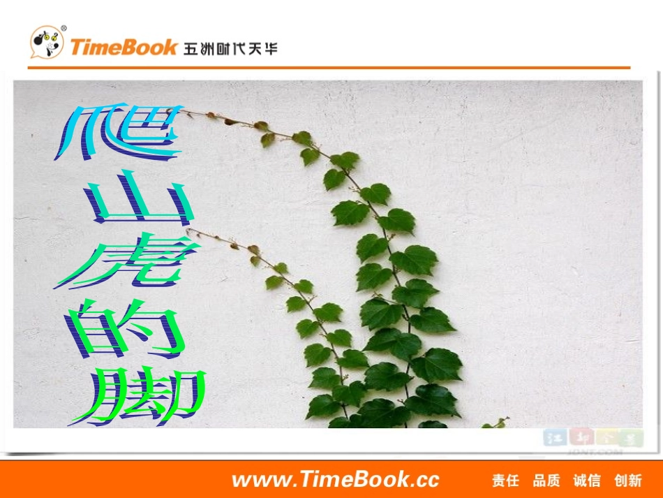 6爬山虎的脚 (3)_第1页