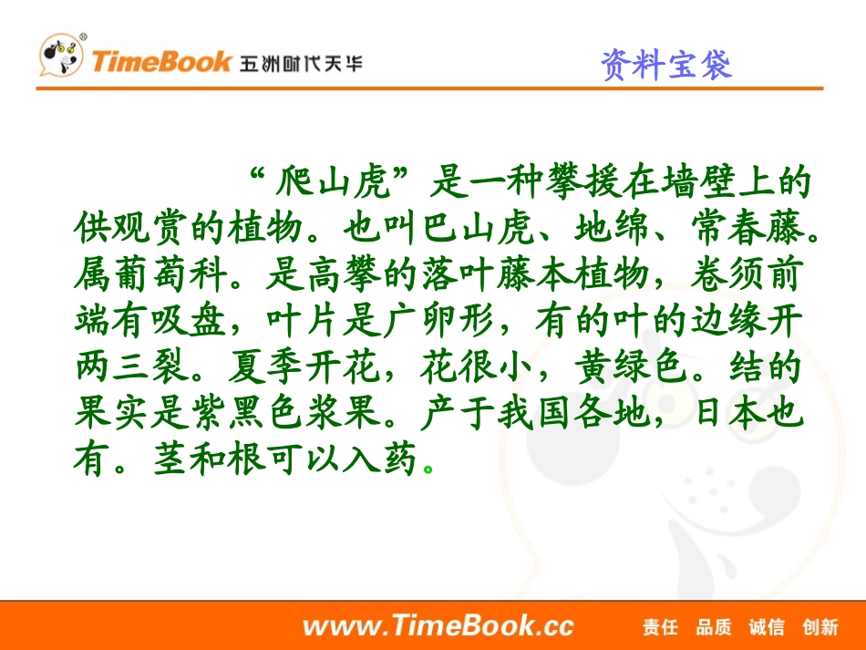 6爬山虎的脚 (3)_第3页