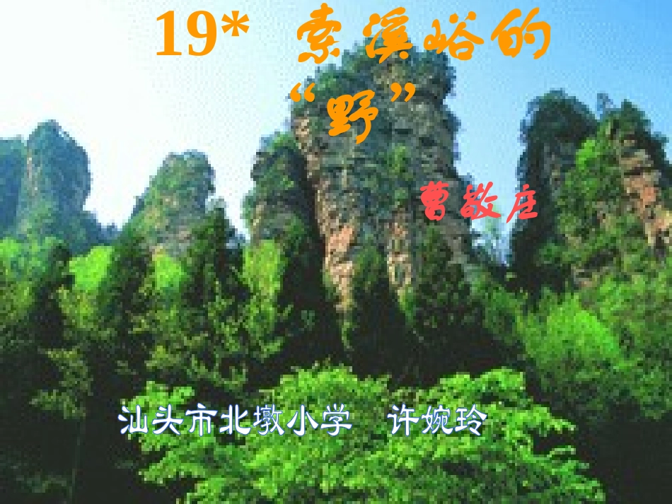 索溪峪的野课件_第1页