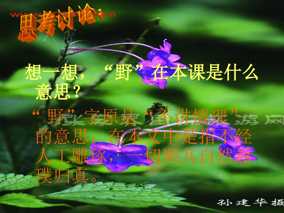 索溪峪的野课件_第2页