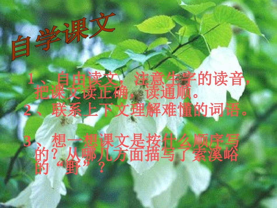 索溪峪的野课件_第3页