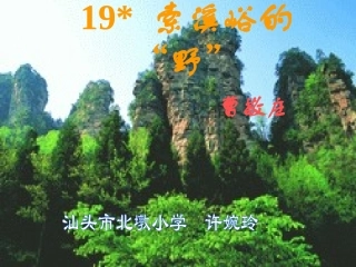索溪峪的野课件