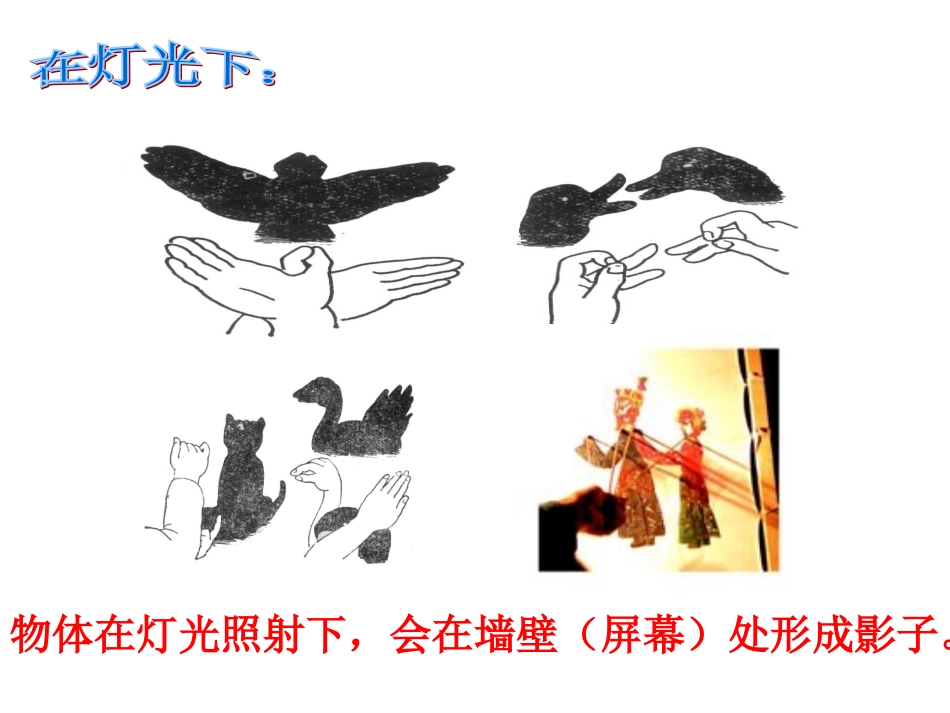 291投影课件-副本_第3页