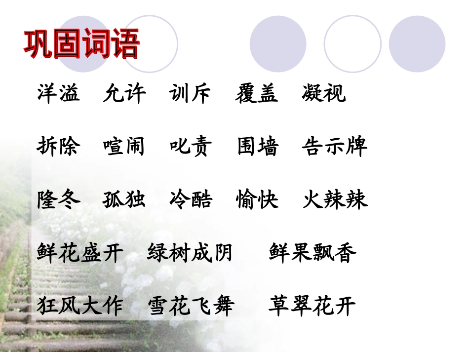 9巨人的花园_第3页