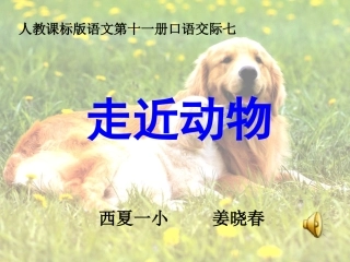 复件动物世界