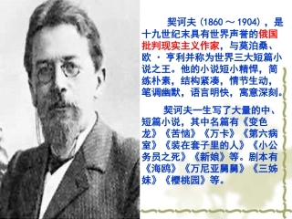 变色龙上课用