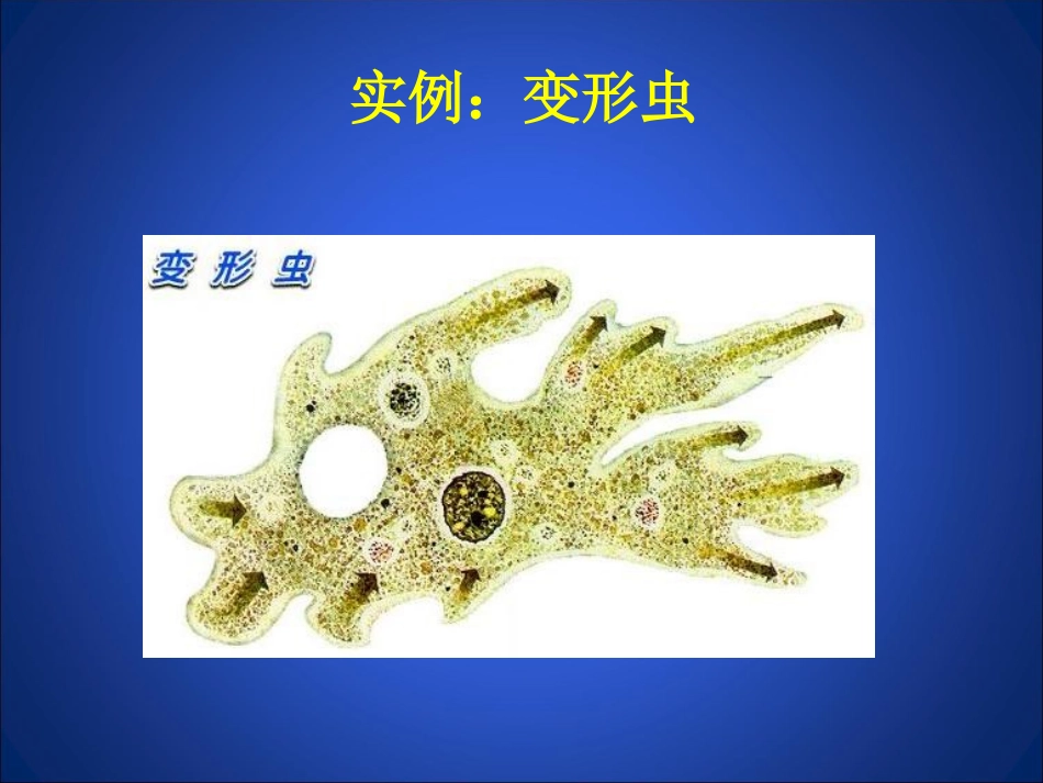 32细胞是生命活动的单位_第2页