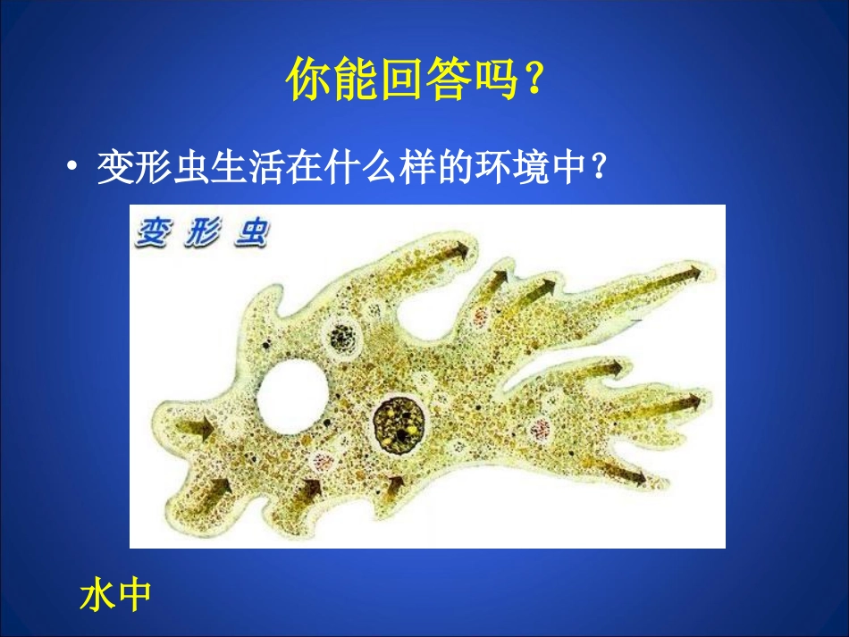 32细胞是生命活动的单位_第3页