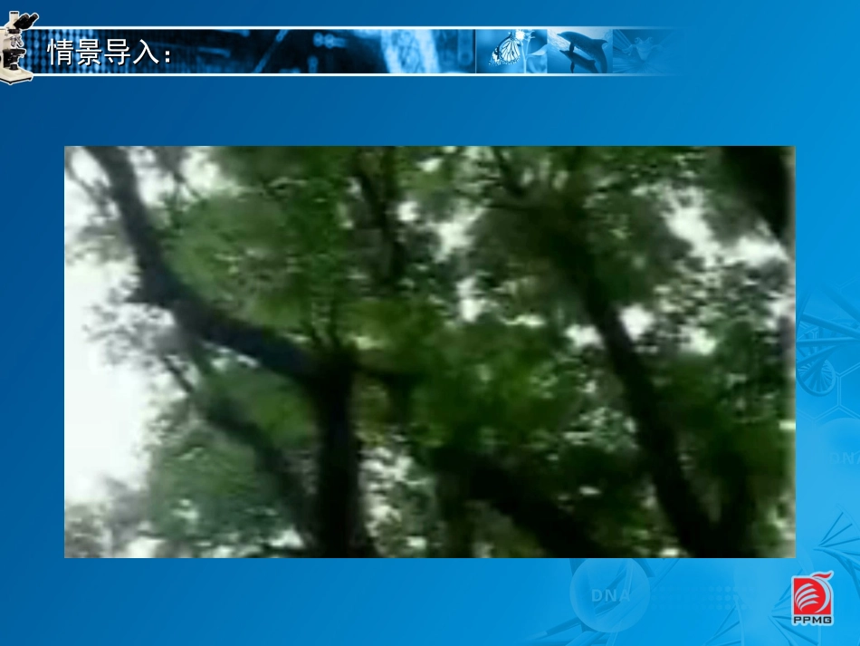 18植物的蒸腾作用-教学课件_第2页