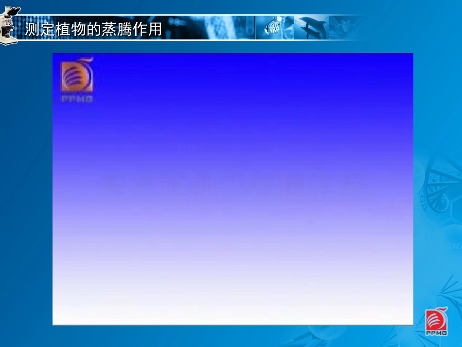 18植物的蒸腾作用-教学课件_第3页