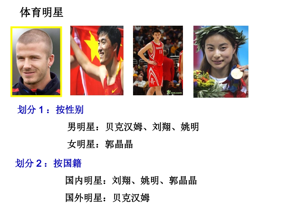2-1化学物质的分类_第2页