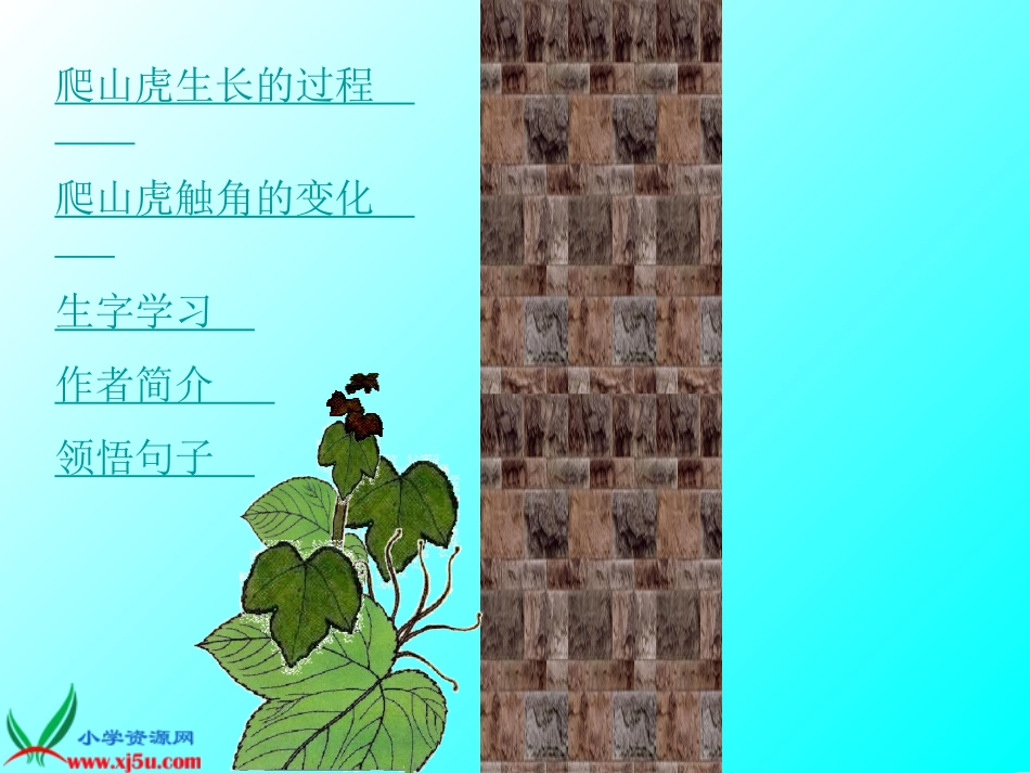 爬山虎的脚 (4)_第2页