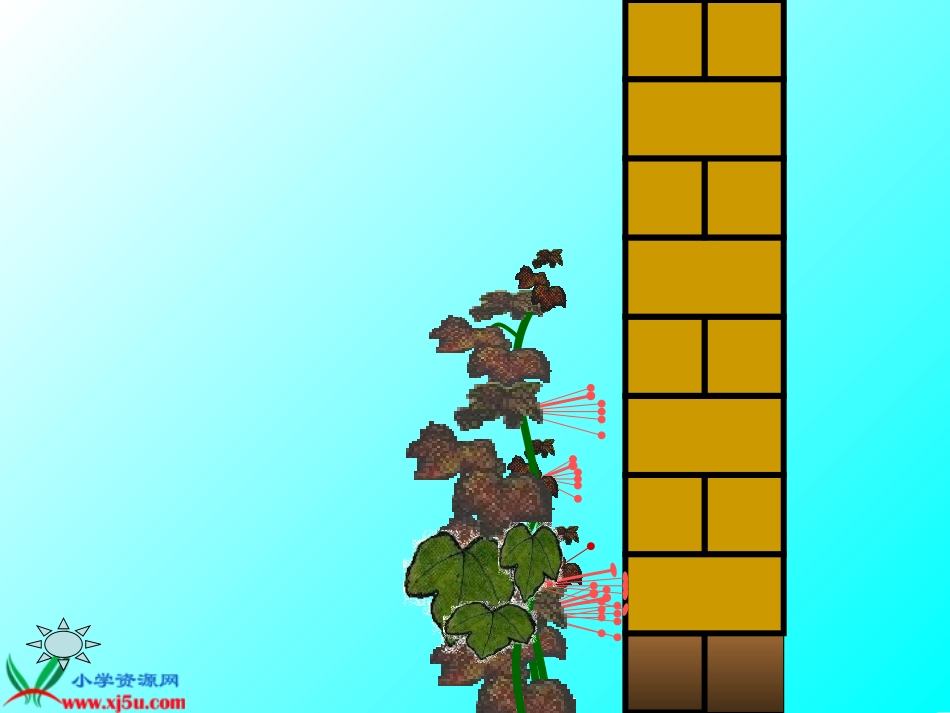 爬山虎的脚 (4)_第3页