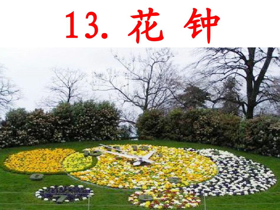 花种__课件_第1页
