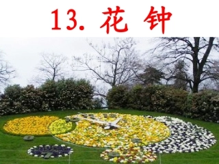 花种__课件