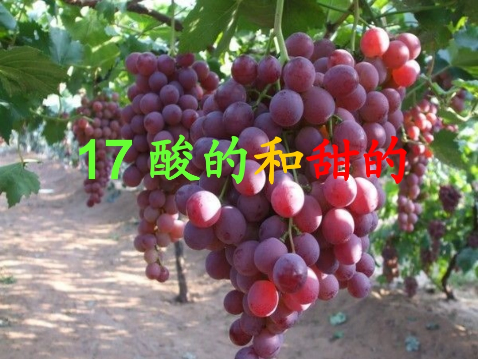 酸的和甜的3_第2页
