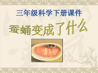 第二单元《4蛹变成了什么》