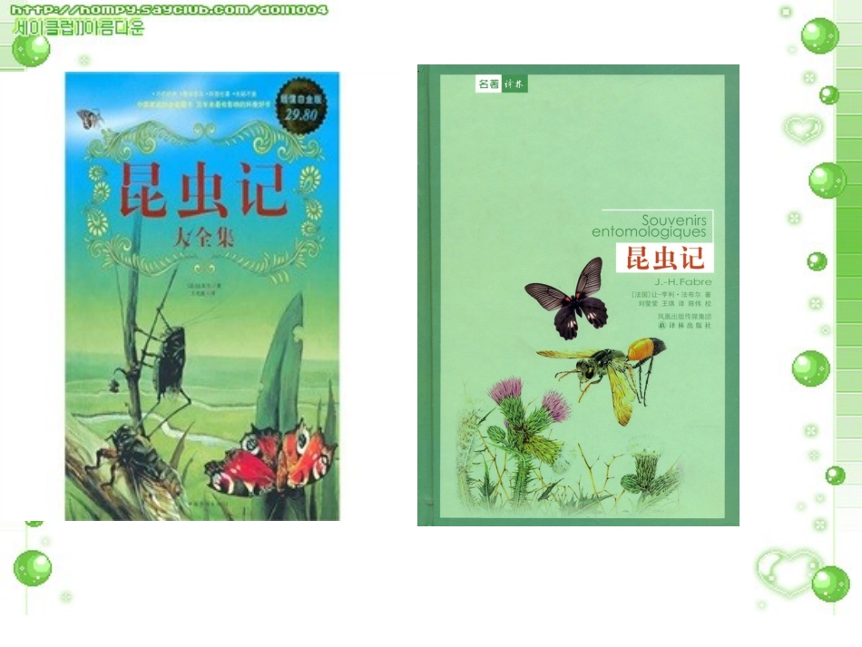 法布尔观察昆虫_第1页