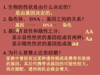 人的性别遗传