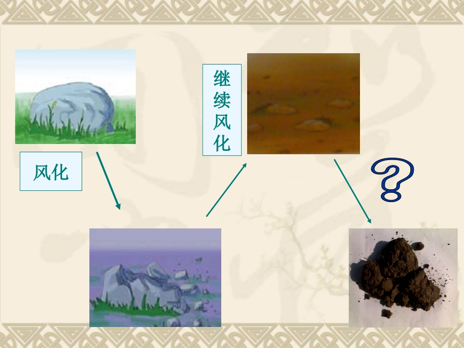 1教科版科学五上《土壤中有什么》课件(恢复)_第1页