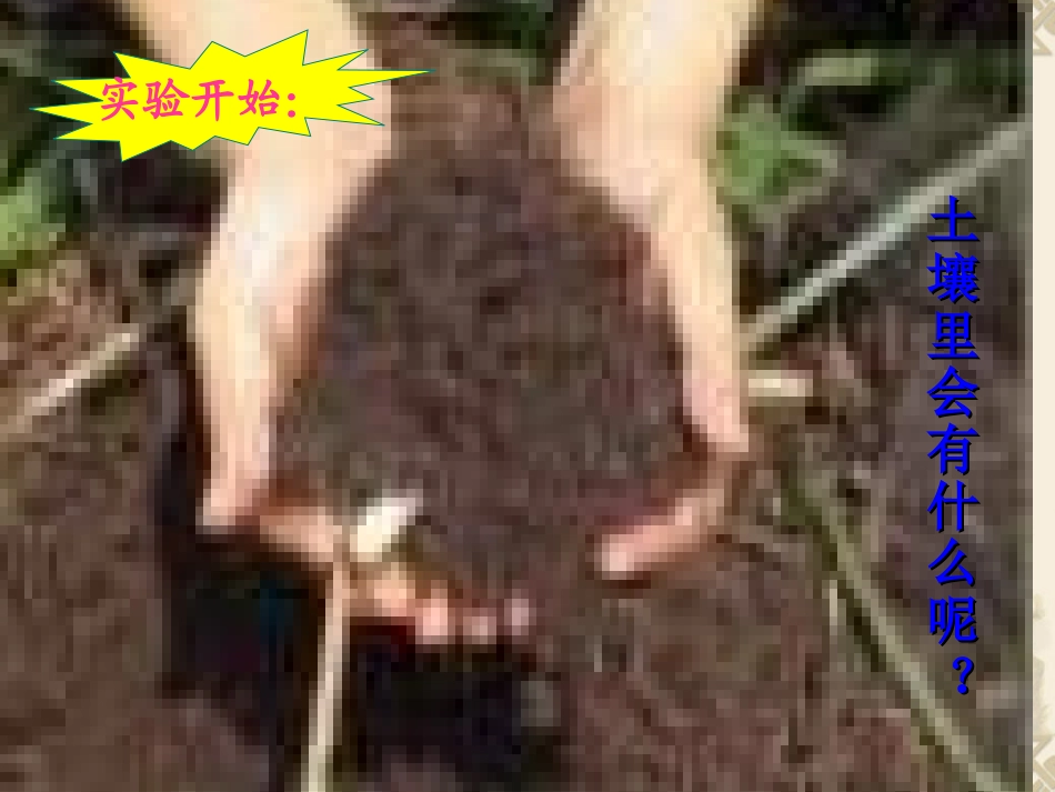 1教科版科学五上《土壤中有什么》课件(恢复)_第3页