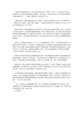 北极旅鼠的秘密