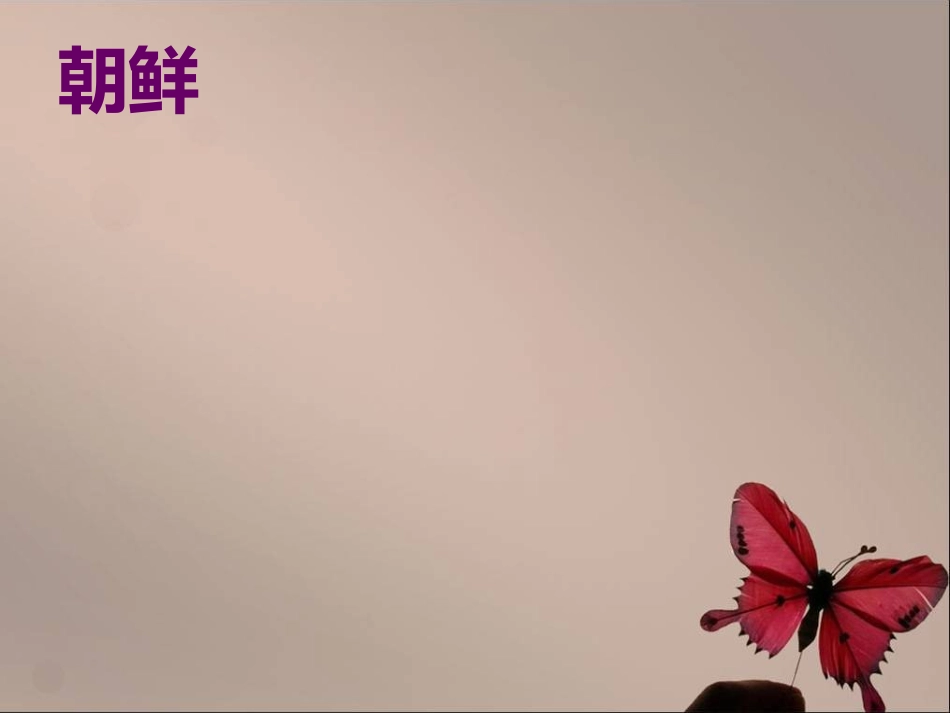 走进朝鲜音乐_第2页
