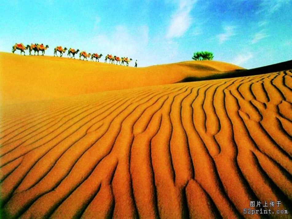 2、丝绸之路_第2页